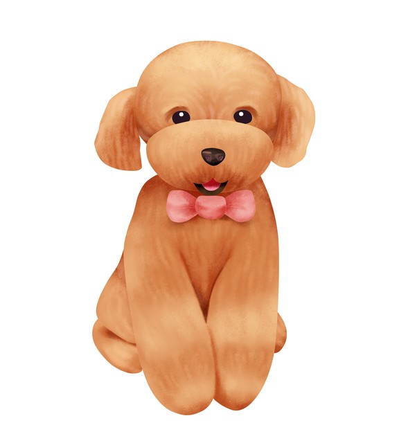 生肖虎与什么属相搭配财运亨通,生肖虎和什么属相合作最好呢