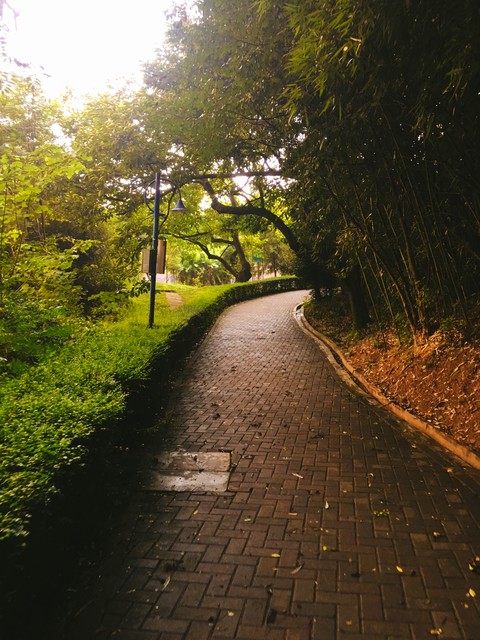 江西省学医最好的大学,江西省的学医专科学校哪些好