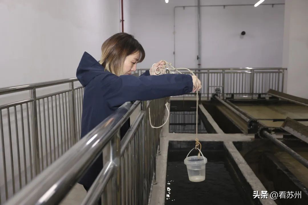 平江路河道清澈见底,苏州平江路河水清澈见底