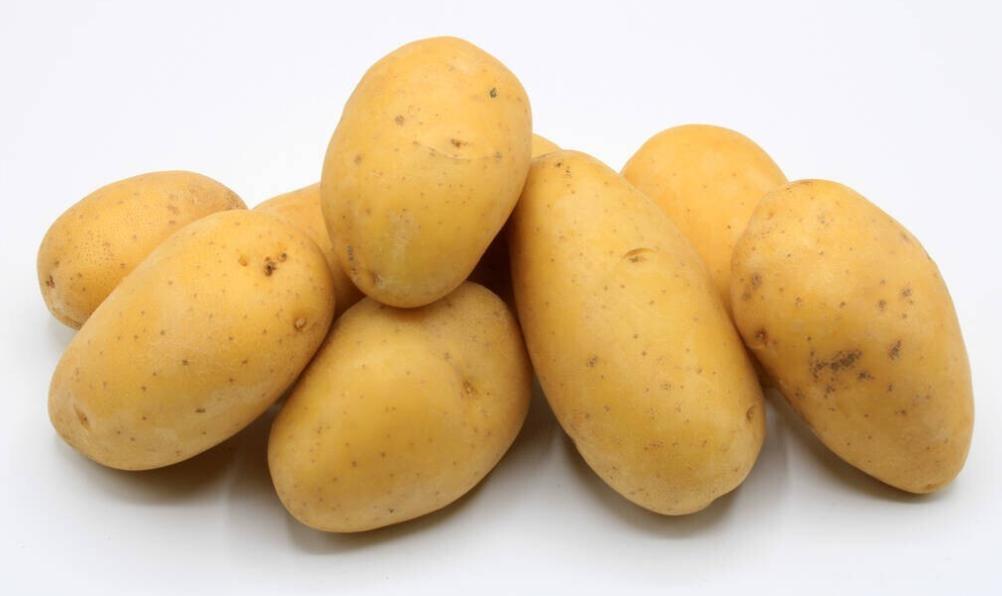 肚子胀是不是肠胃功能紊乱,肠胃检查正常但是肚子总有胀气