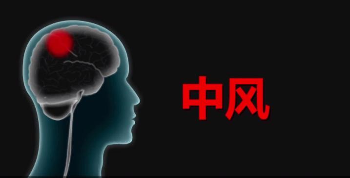 中风气虚血瘀治疗方剂,中风气虚血瘀证的辨证论治