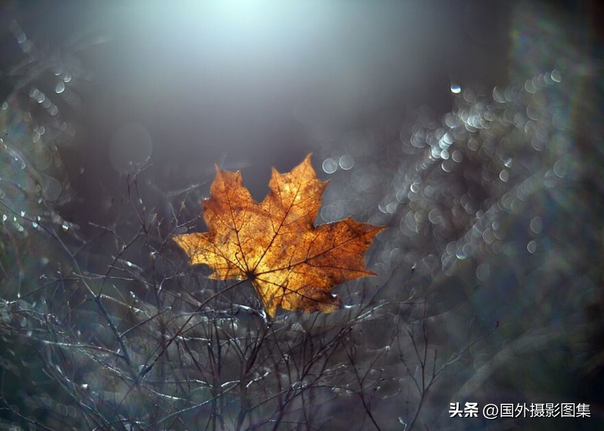 最美的景色秋天照片高清,夏天和秋天的绝美照片