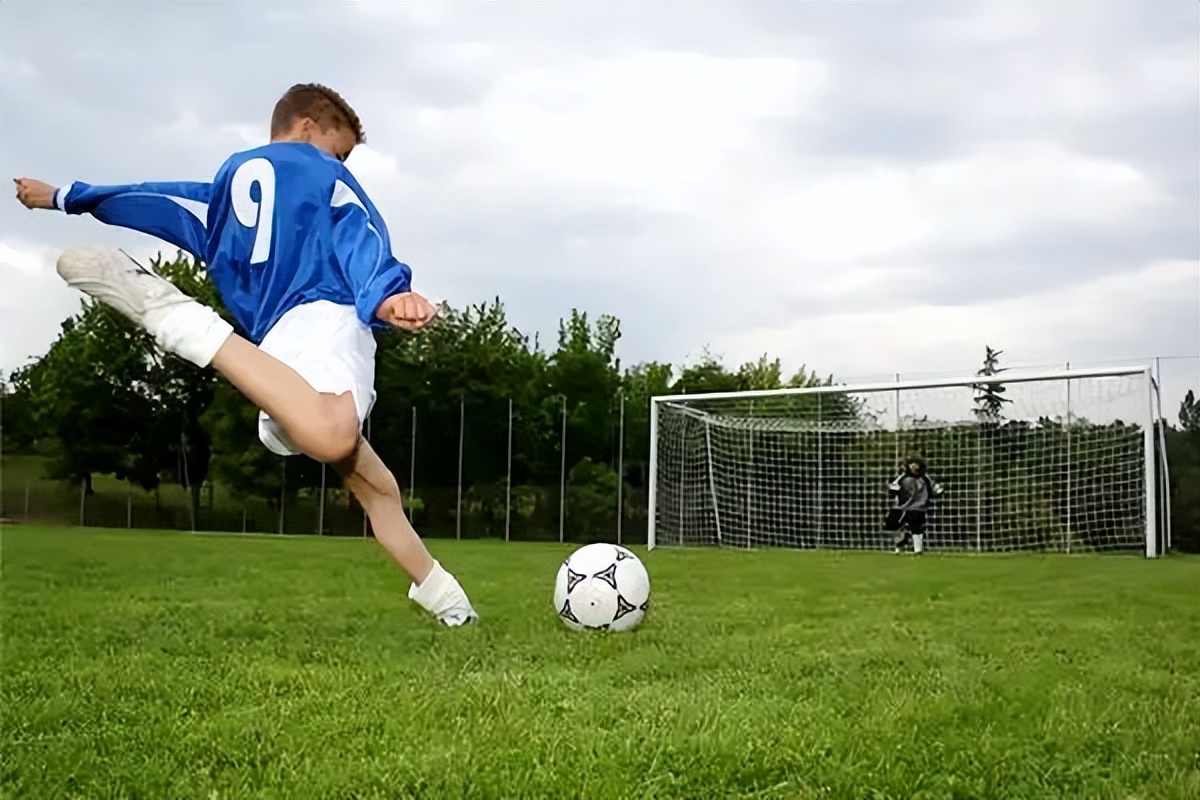 钱兔似锦大展鸿兔礼品盒,钱兔似锦大展宏兔的意思