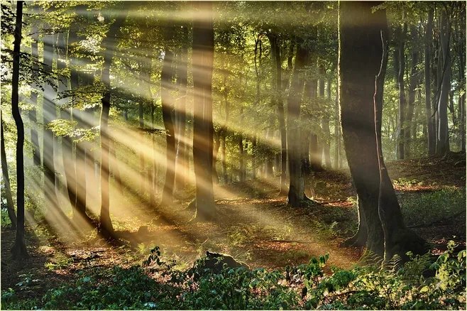 初春最美的十首诗词,春日美景最经典诗词