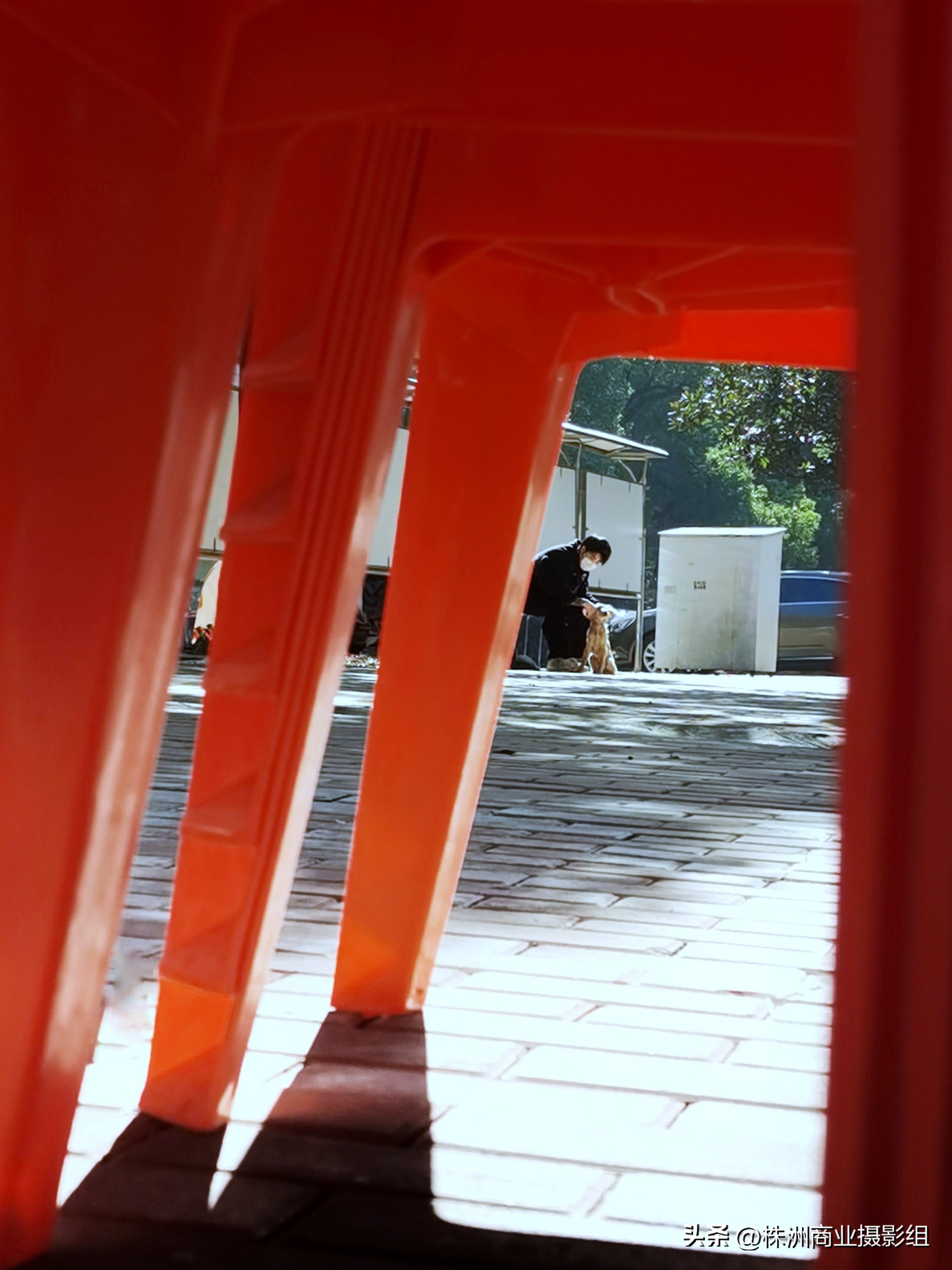 再小的个体，也值得被记录“好厨帮”抗疫手机摄影赛来稿选刊12