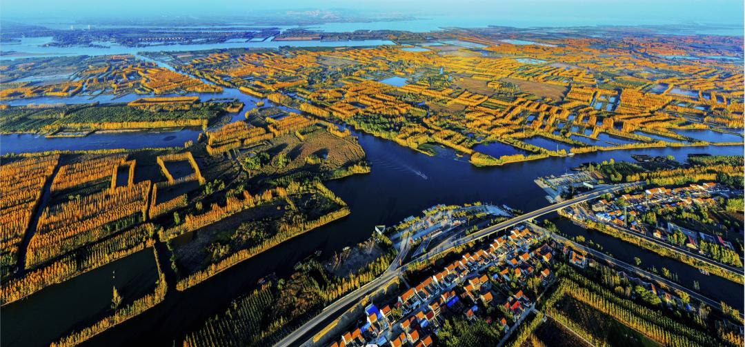 学习贯彻*党**的二十大精神|鱼台：惠河湿地就是一幅五彩斑斓的画卷