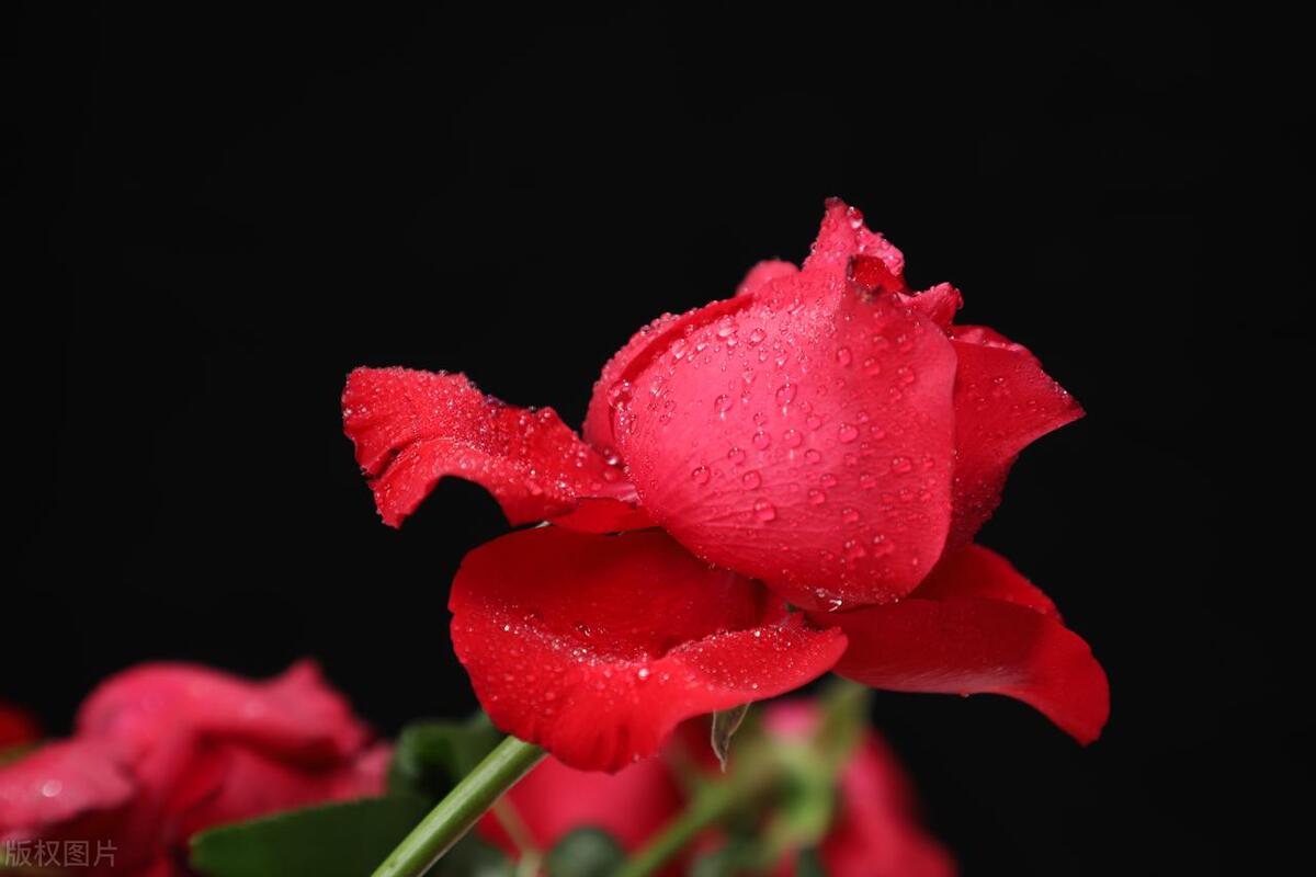 男人删除女人微信还能挽回吗,男朋友把我删除了还能挽回吗