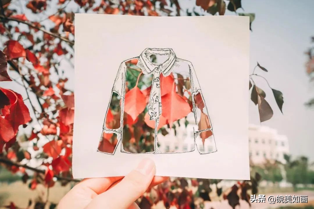 安徽大学好看的风景,高校最美秋景