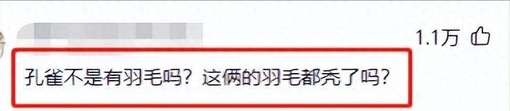 杨丽萍的四大不解之谜,杨丽萍十大不解之谜