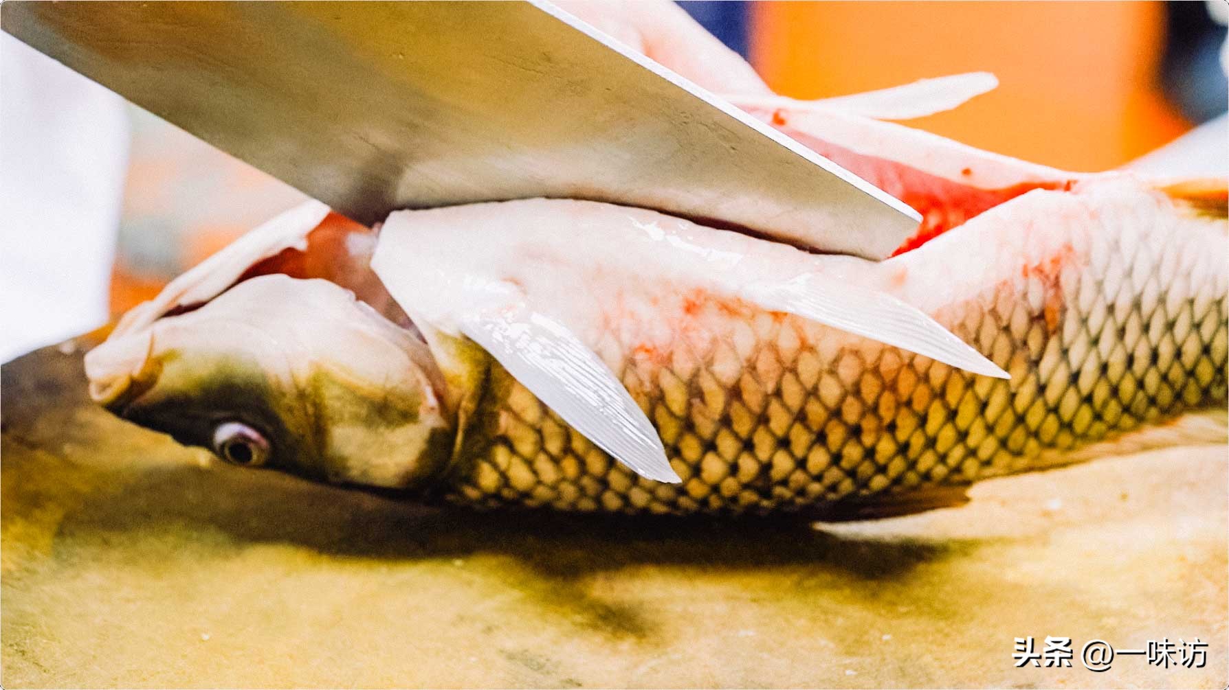 带鱼鳞的鲤鱼怎么做好吃,红烧鲤鱼炸带鱼的家常做法