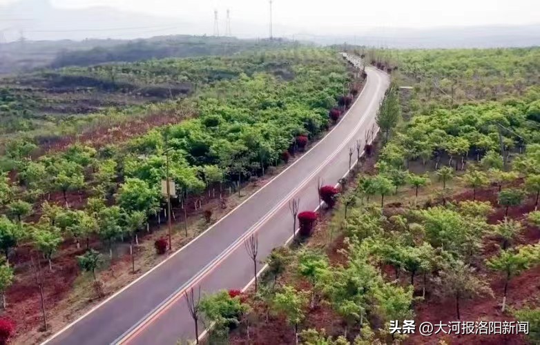 娌冲崡宓╁幙鐨傝涔嬩埂,宓╁幙鐨傝涔嬩埂