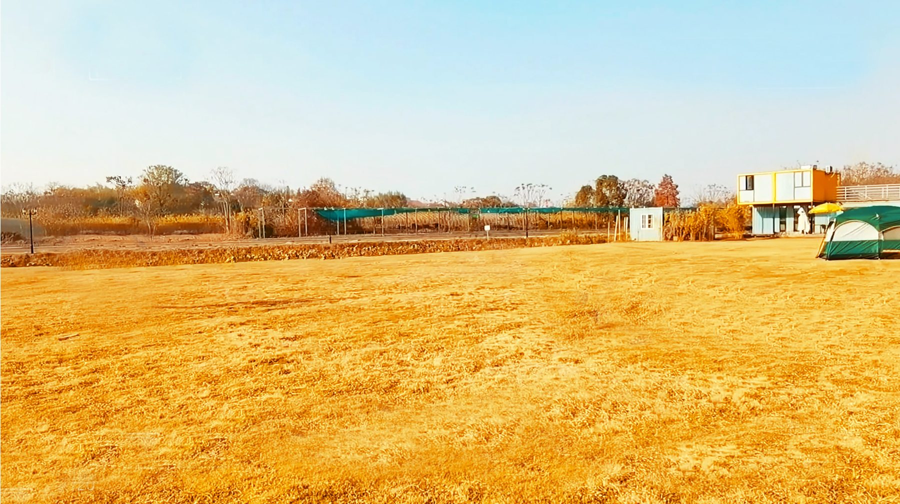 武汉周末爬山遛娃好去处,武汉冬日游遛娃最佳地点