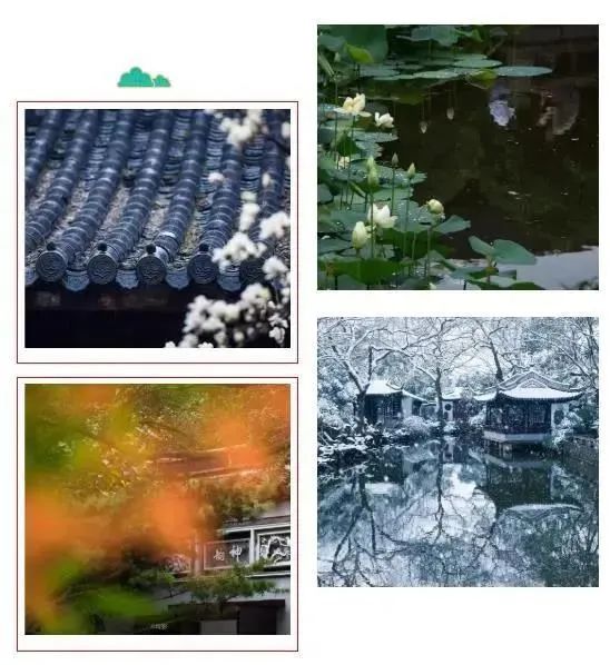 520年一遇，2022上海最浪漫打卡地出炉