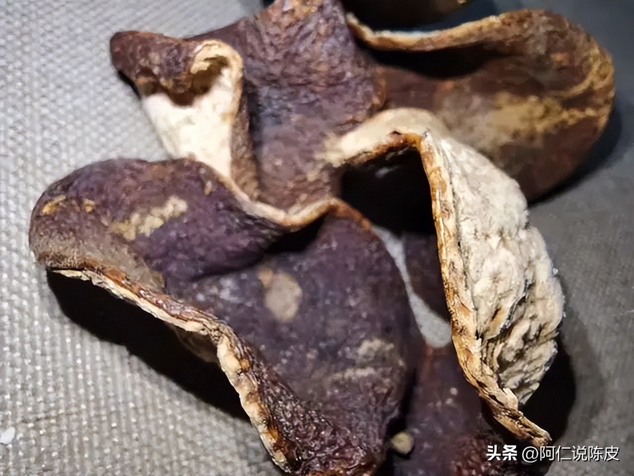 阿仁陈皮,阿仁谈陈皮