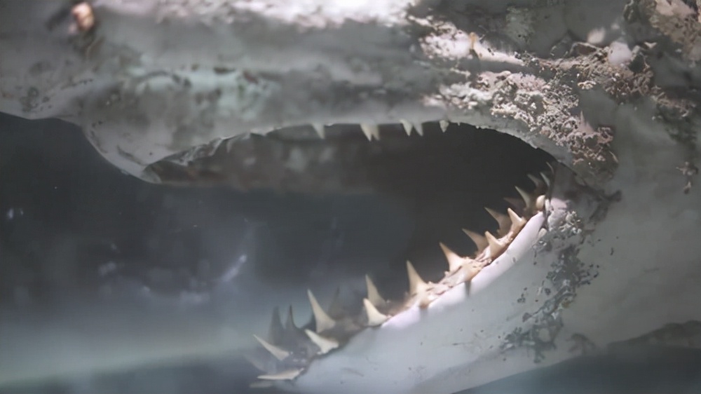 僵尸水族馆原片 (恐怖鲨鱼僵尸)