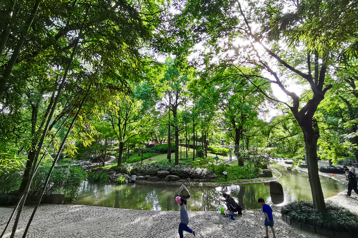 花盆里种不出参天大树——东吴第一任太子孙登成长记