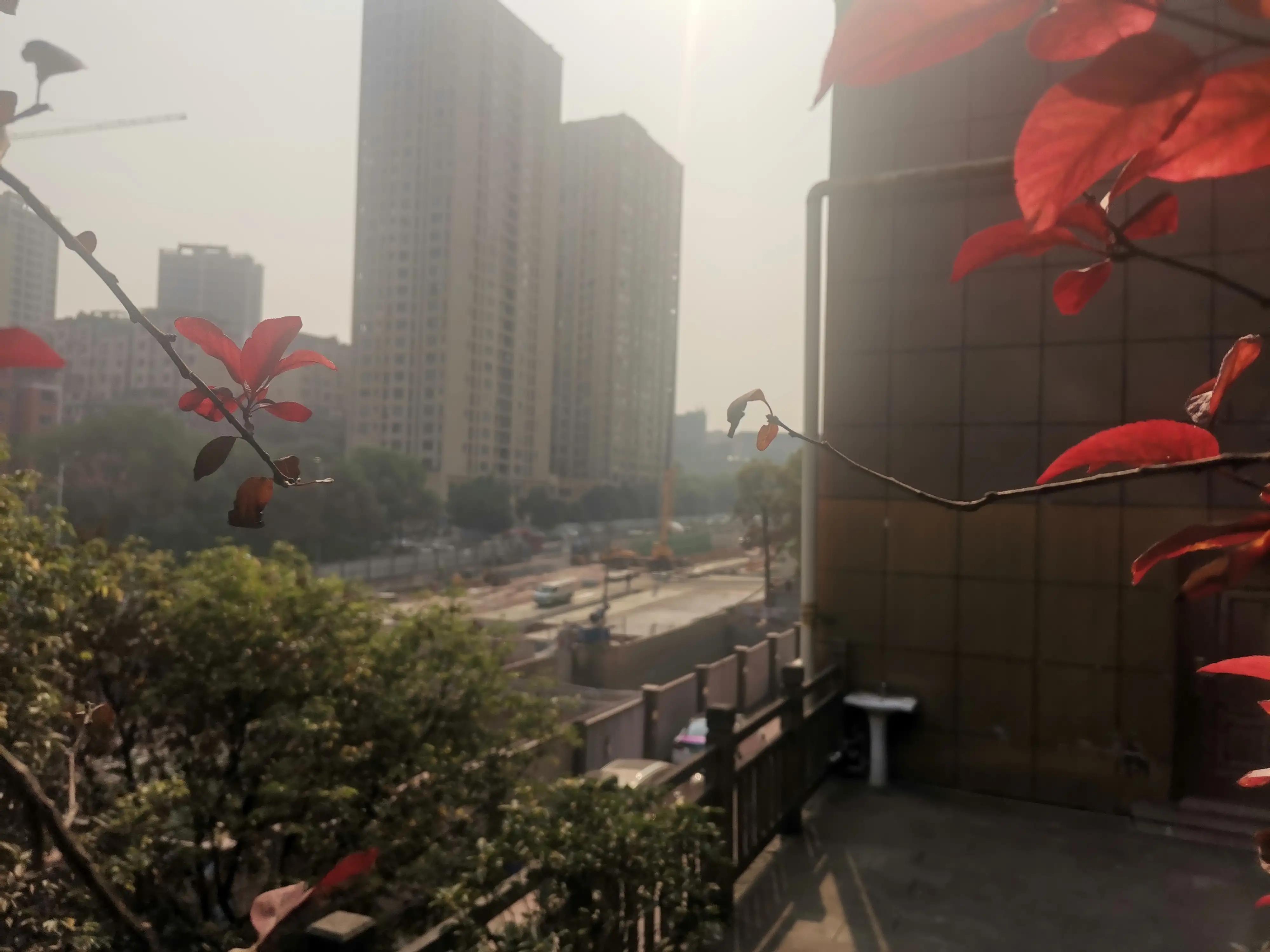 李家沱复线最新进展,李家沱复线桥建设情况进度