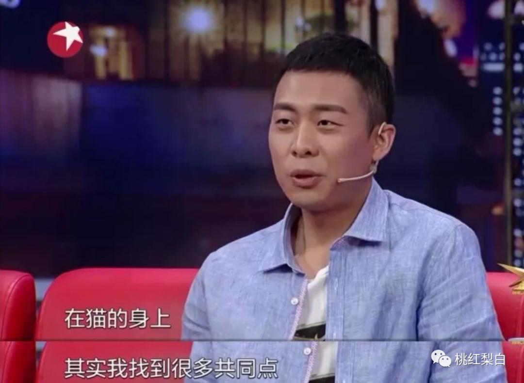 张译的演技特点和流派,圈内人如何评价张译的演技