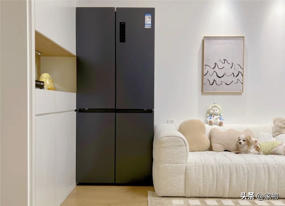 选冰箱看这篇绝对够了,选冰箱不选坑