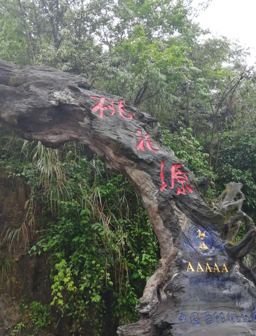 重庆市沙坪坝区十大必去景点免费,重庆11个区县景区免费游