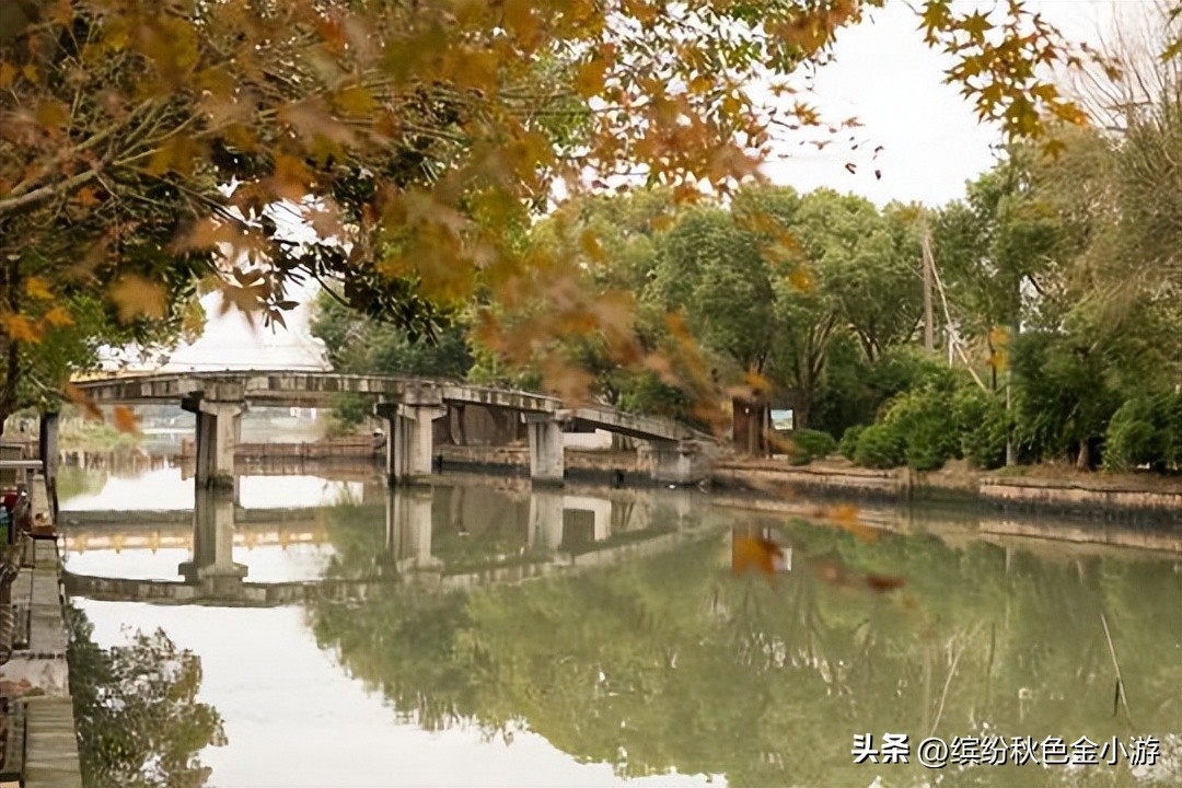 上海金泽古镇旅游攻略详细,上海金泽古镇美景