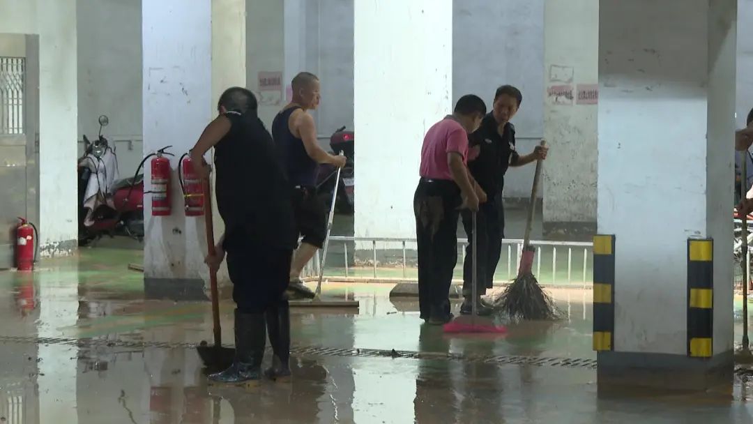 南安保洁上门清洁,南安白蚁消杀