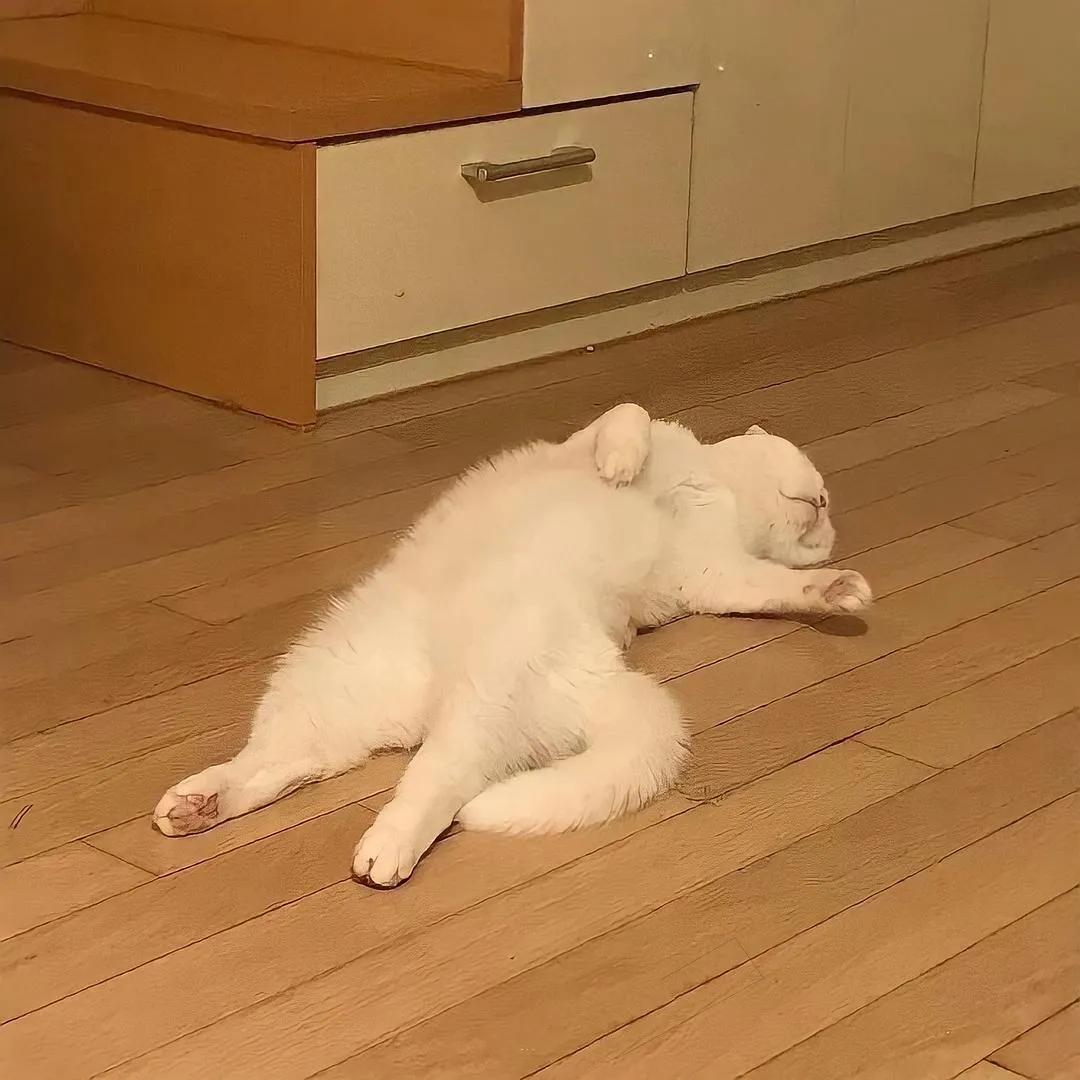 今年的网络热词,近期的网络热词有什么