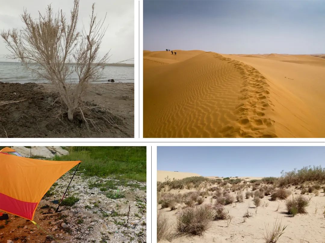 帐篷满天飞的视频,漫天飞舞的帐篷