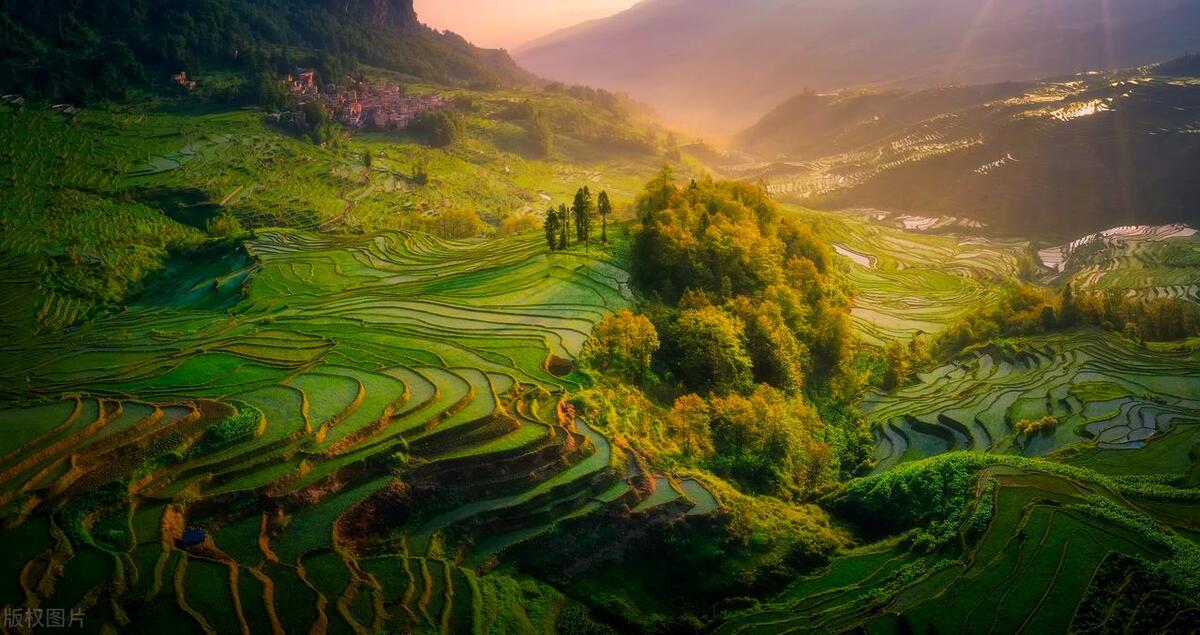 如何组织好企业战略决策,企业定置管理技巧