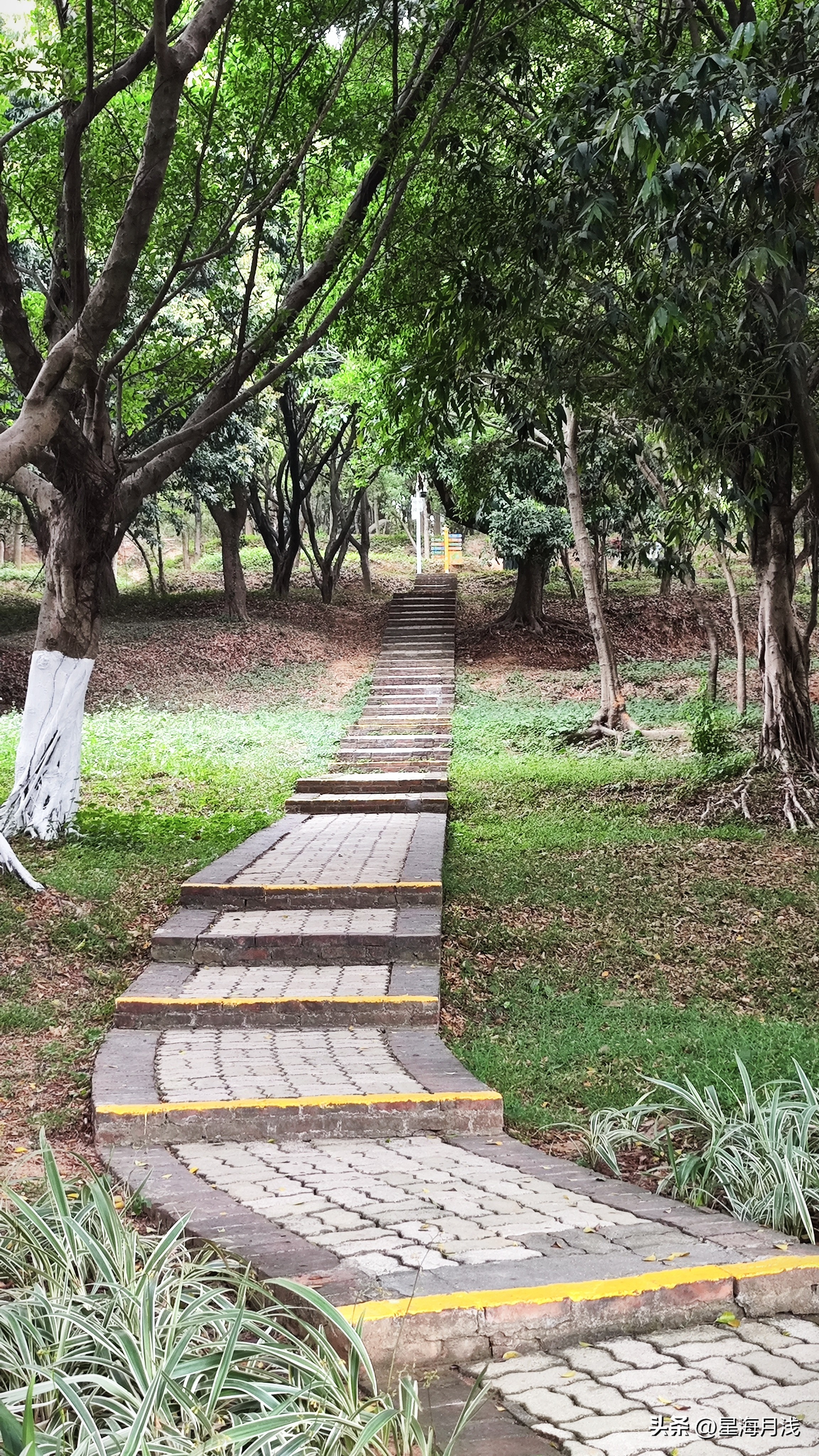 带你玩遍广州所有的儿童公园,广州免费公园遛娃好去处