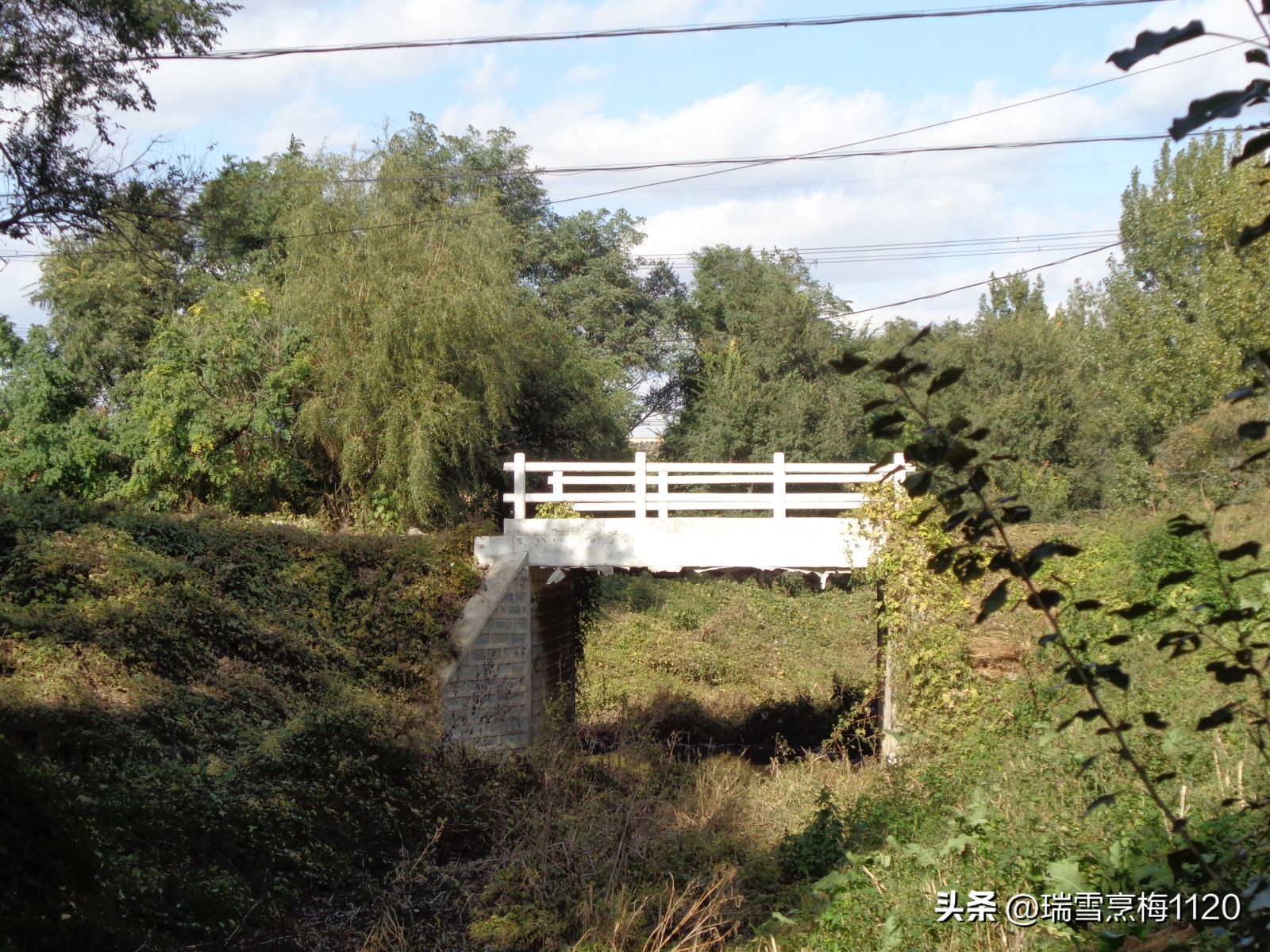 地名档案|旁新线公路沿线村庄之四：沈北新区马刚街道依路村