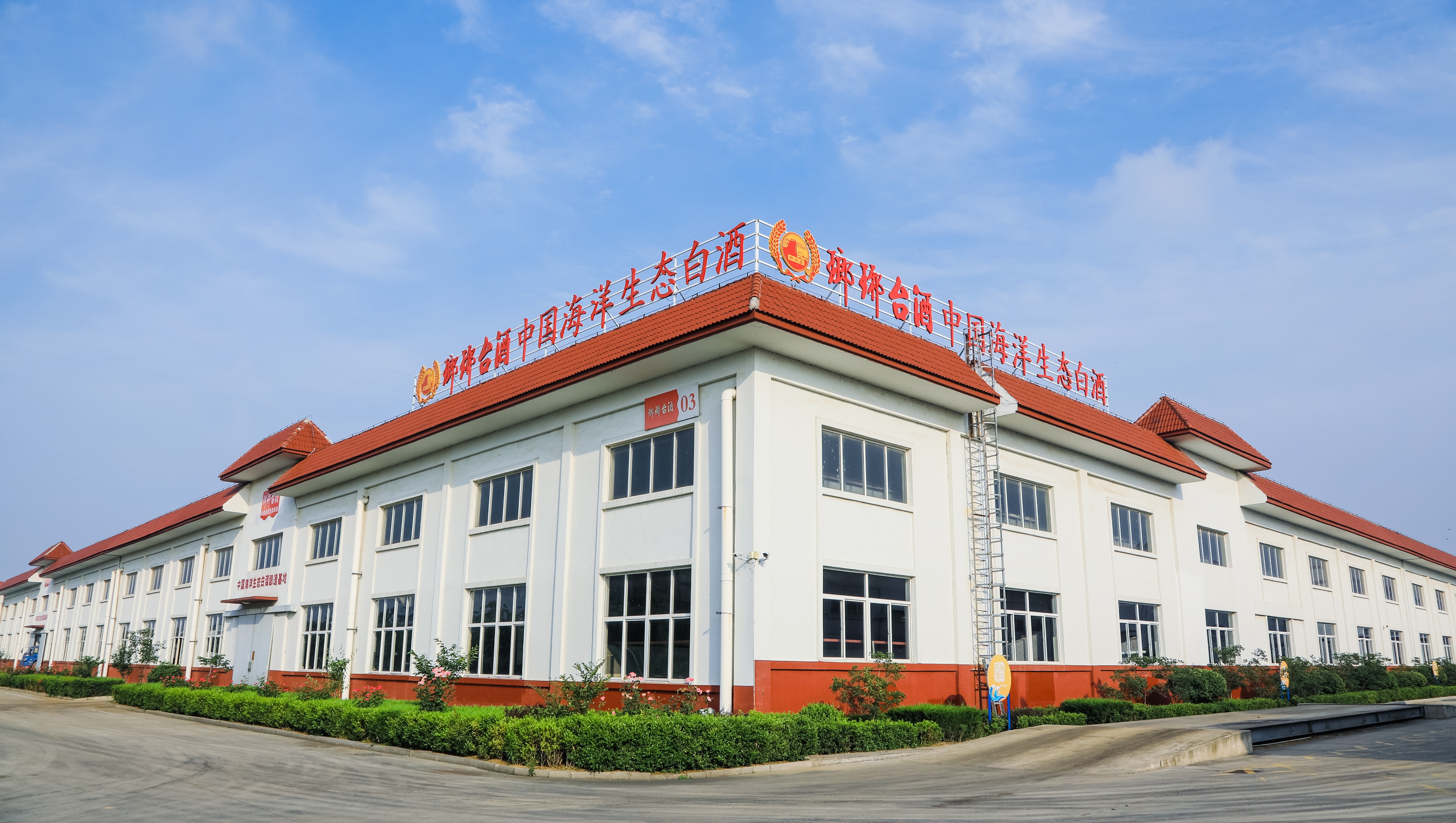 青岛人最爱喝的琅琊台,琅琊台酒青岛味道怎么样