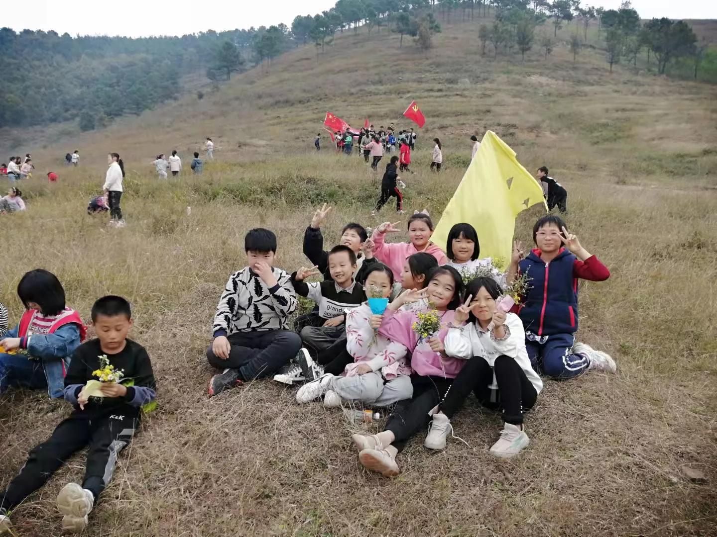 可爱的小鸭子作文带评语,可爱的小鸭子作文四年级下册语文