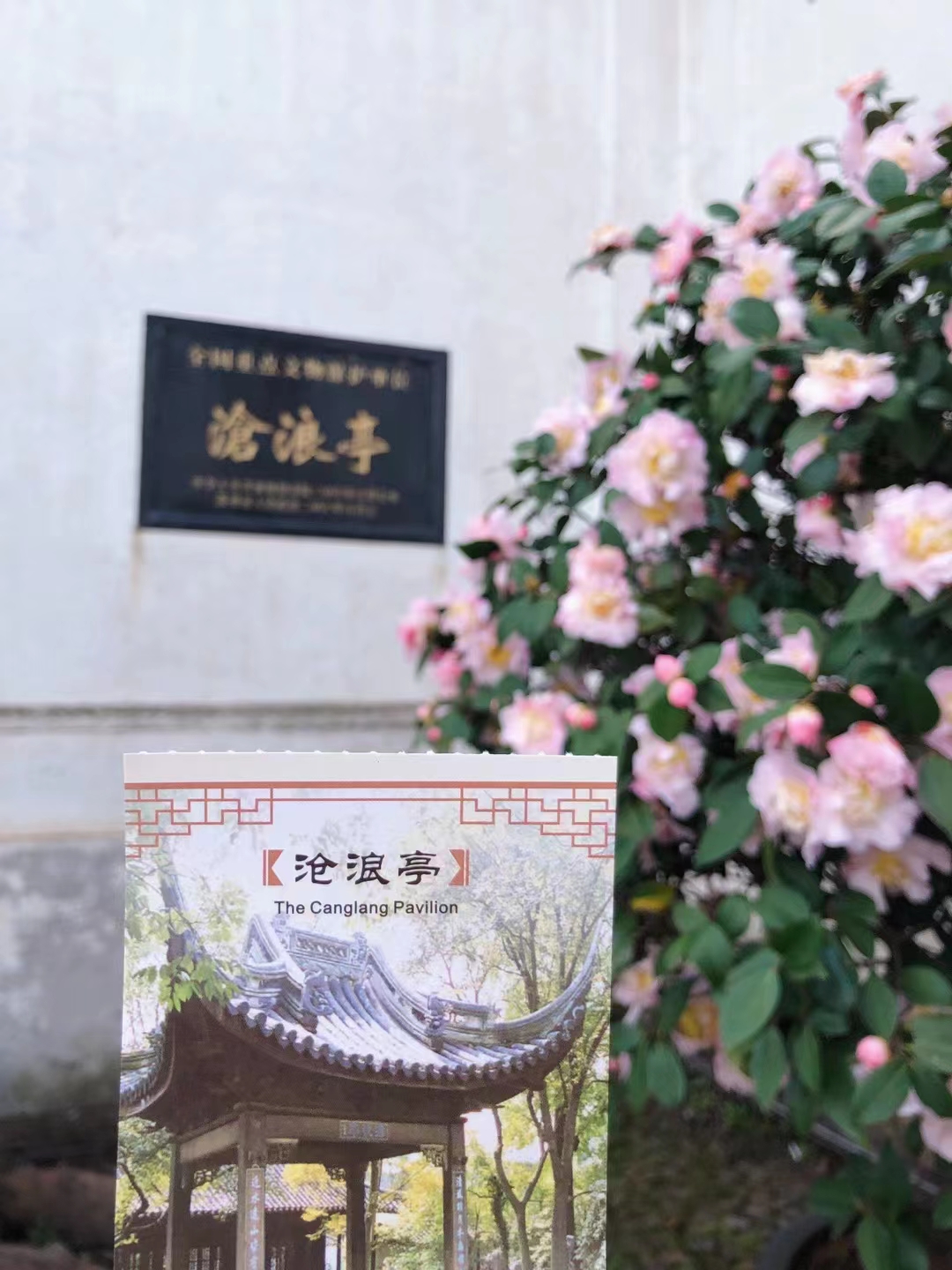 苏州一日游攻略：你一句春不晚，我就挤扁在了真江南（上）