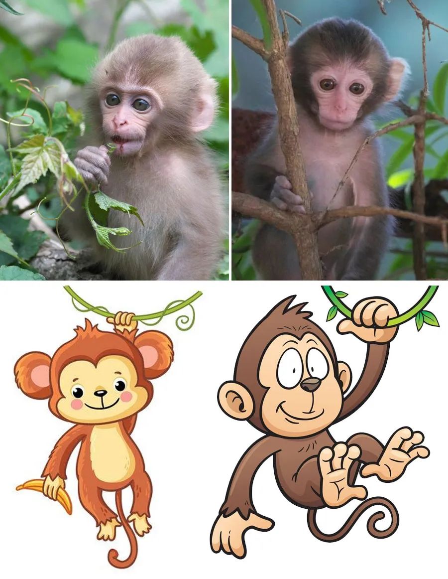 创意儿童画顽皮的猴子,儿童画剪贴创意画教程6到12岁