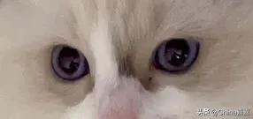 这个才能治愈你的不开心