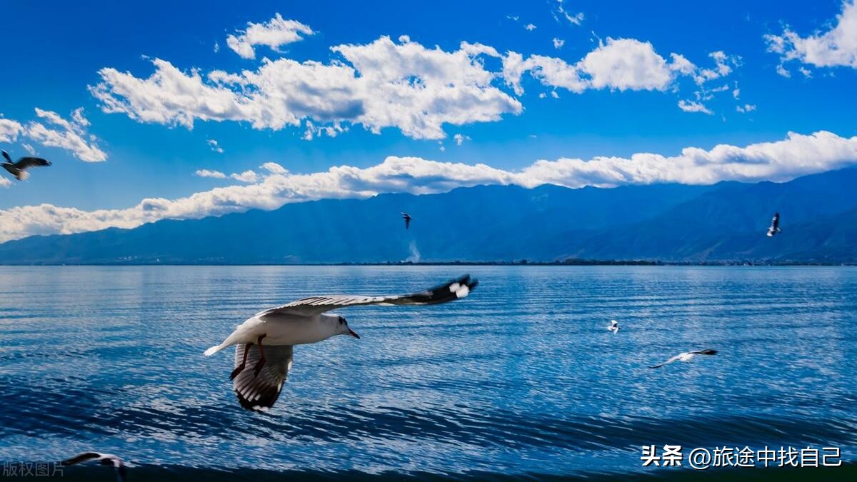 云南旅游景点推荐三日游路线攻略,株洲出发云南旅游纯玩团7日游