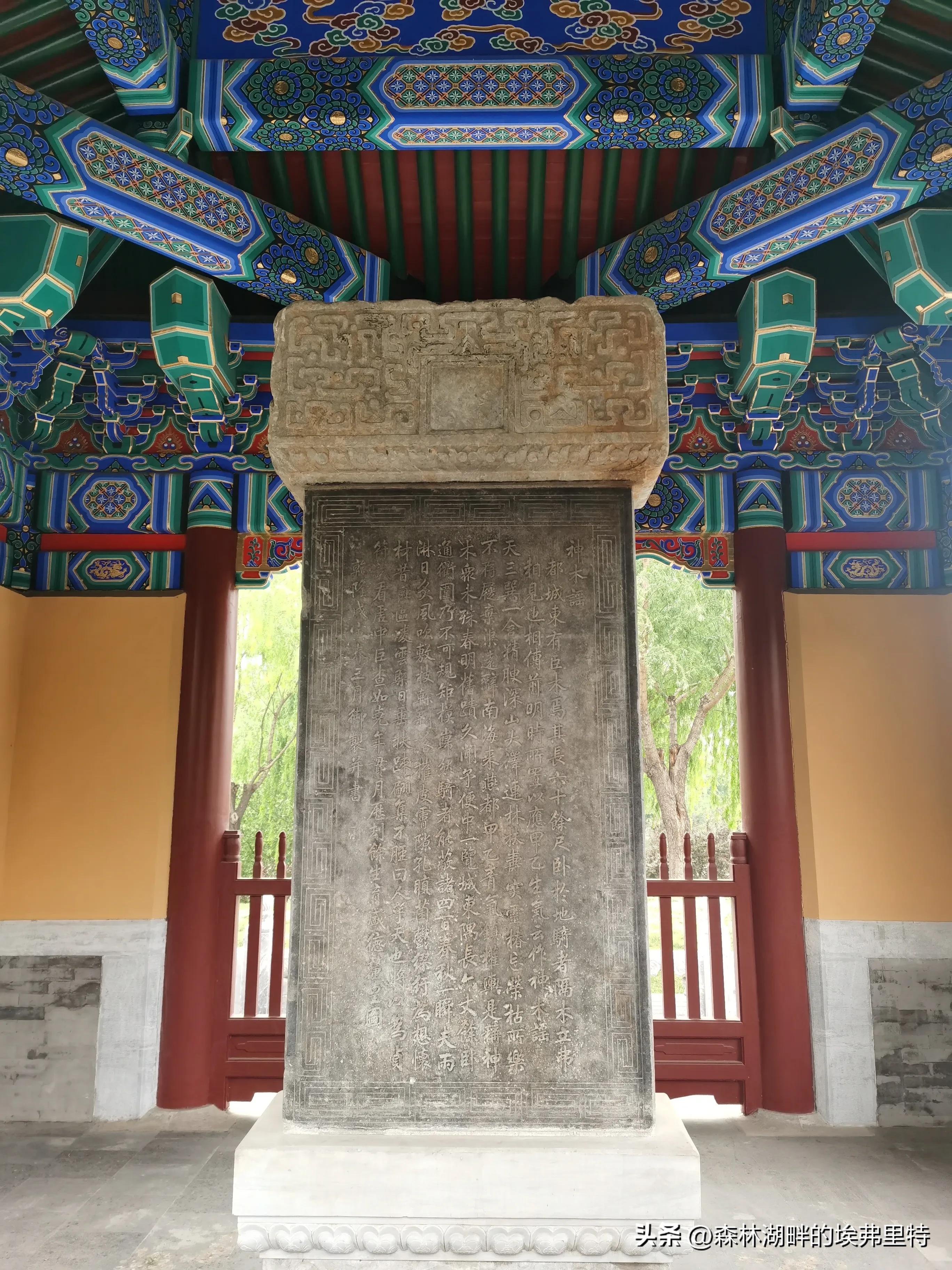 北京庆丰公园里的“神木”