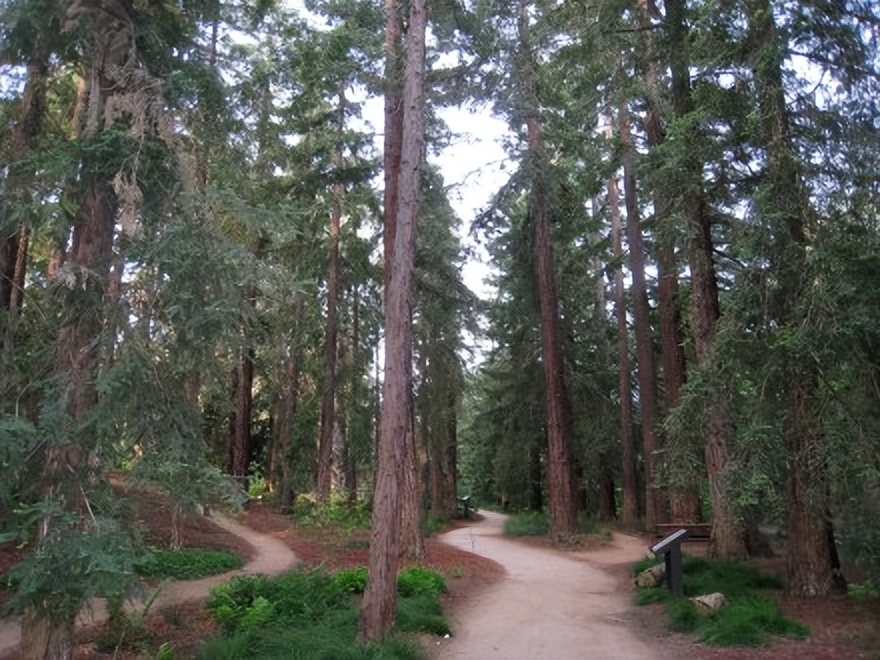 加利福尼亚大学戴维斯分校——公立常春藤