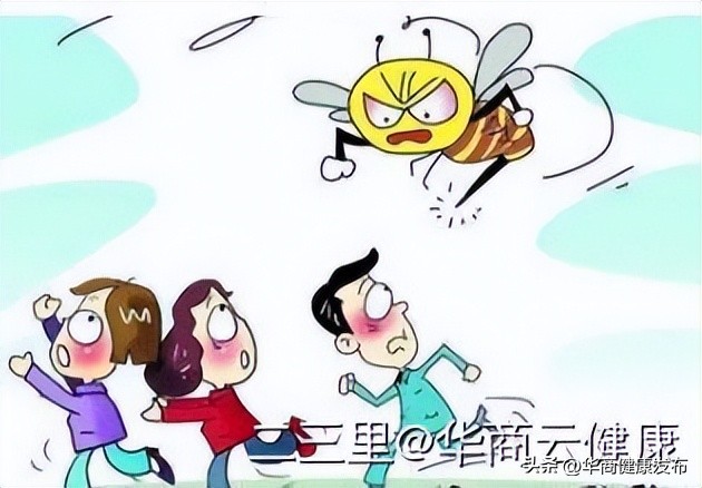 实用知识：赏花被蜂追，摆啥姿势安全？