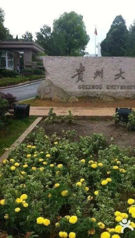 贵阳花溪小众地点,花溪美丽的地方