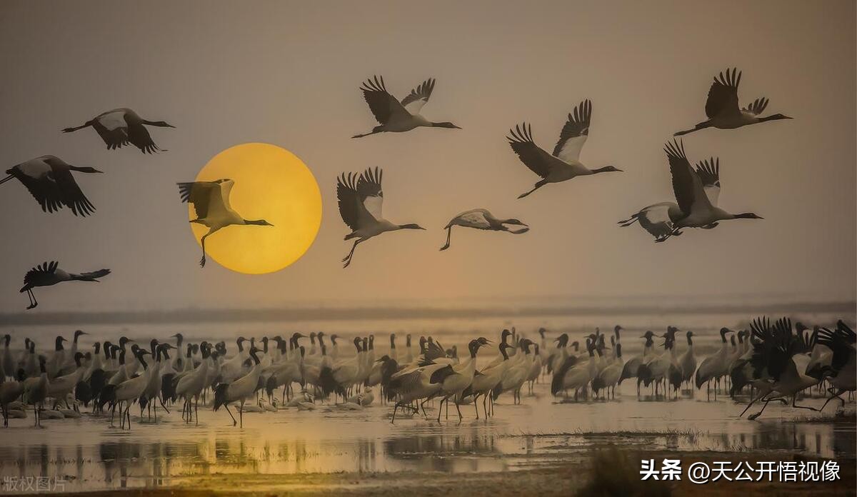 贵州十大旅游景点毕节市旅游景区,贵州有哪些必游的旅游景点