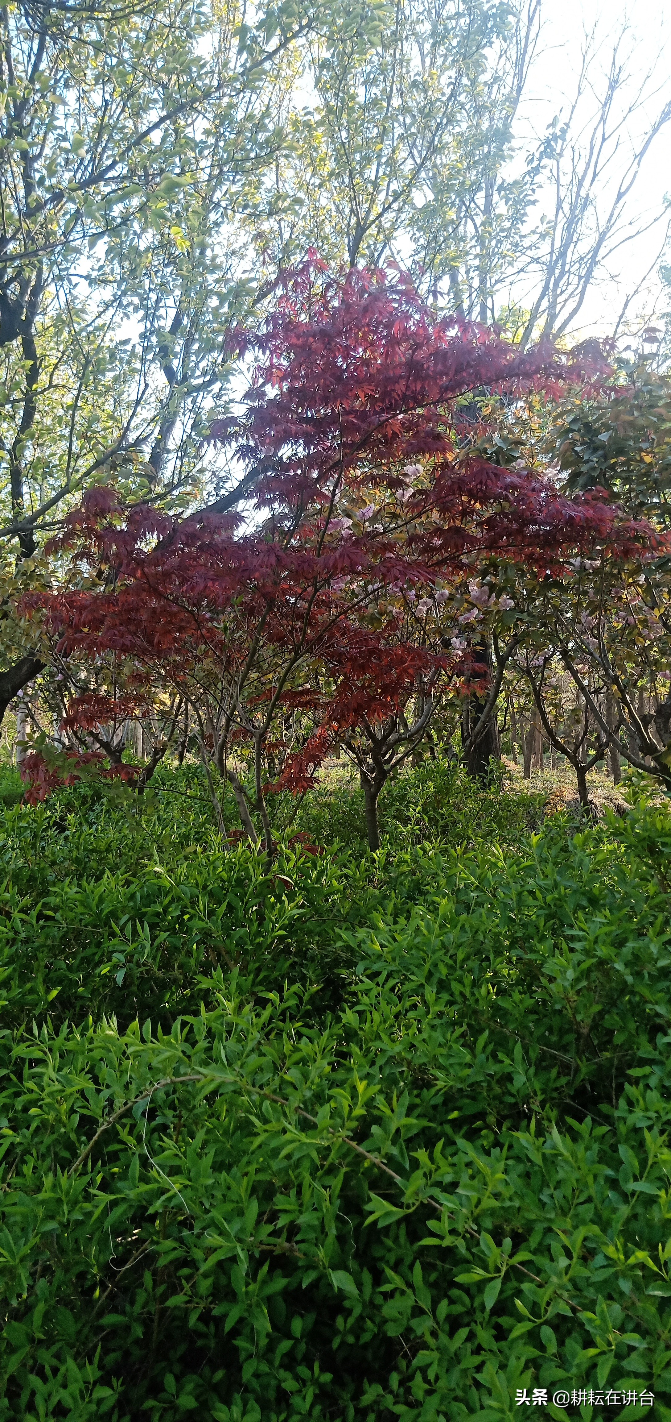 2022年三八国际妇女节活动主题,2022年区委办三八妇女节活动方案