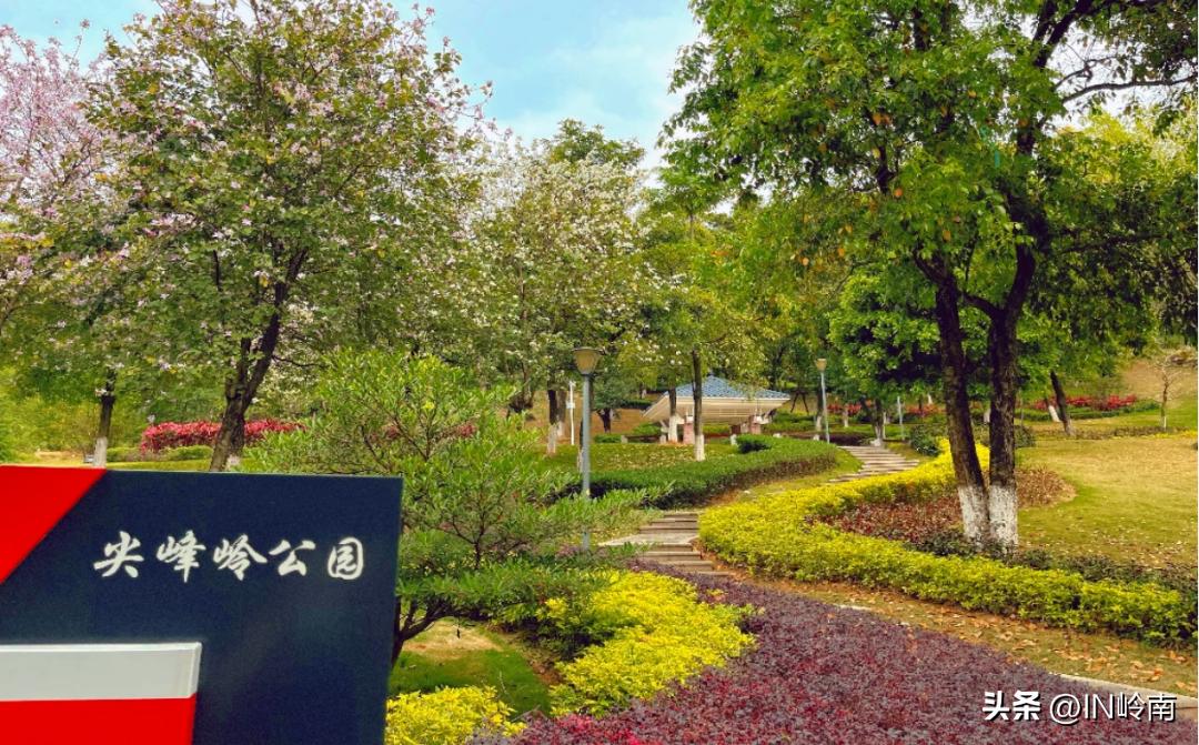 虹消雨霁斗转星移,虹销雨霁