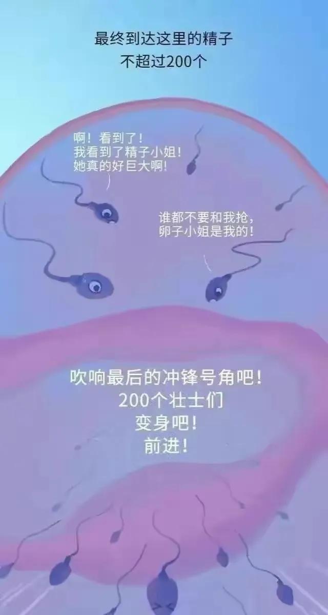 精子产生到成熟的过程,精子形成到受孕过程