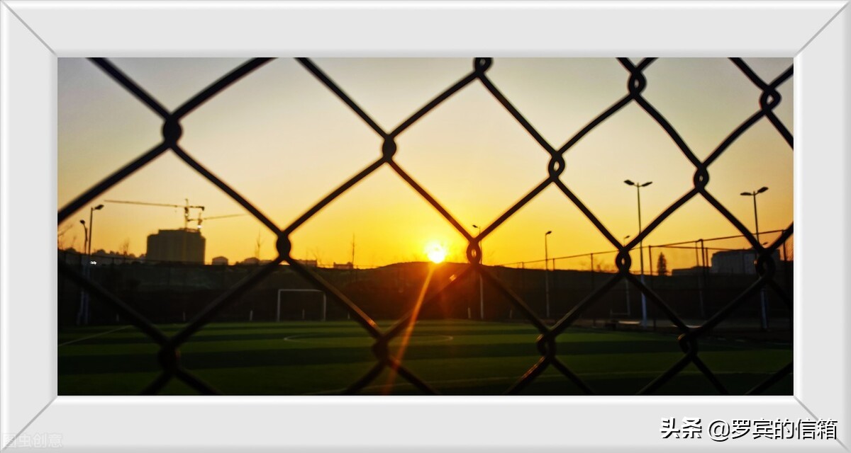 有那么多美好的事物在治愈着我们,美好的东西真的能治愈一切坏情绪