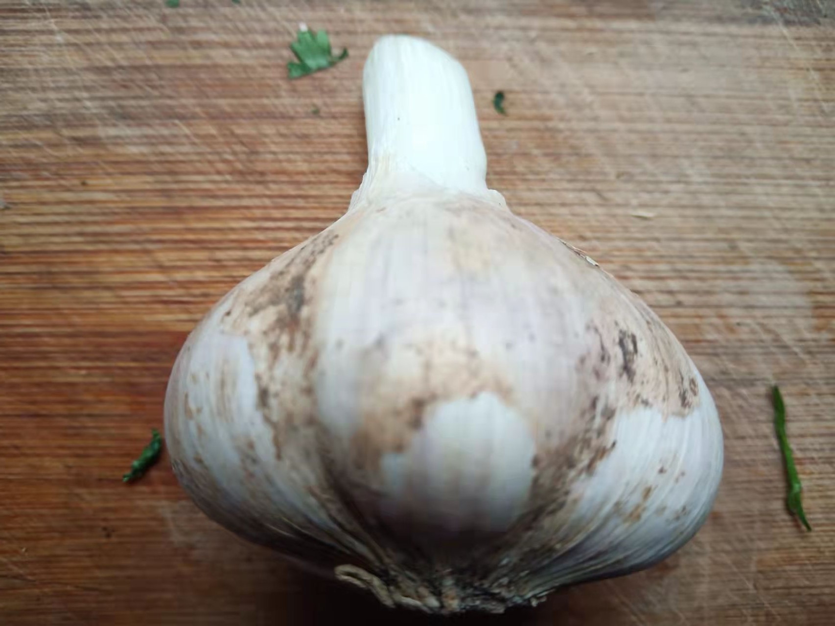 如何判断大蒜成熟？老蒜农说判断大蒜成熟要“8看”，看什么？