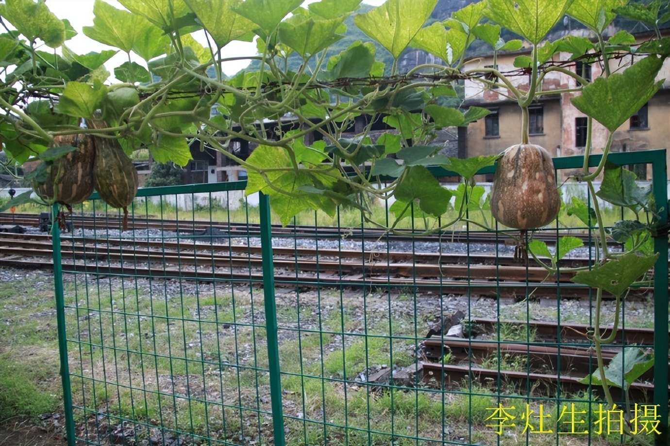 坪石梅田铁路,韶关乐昌市坪石镇火车站