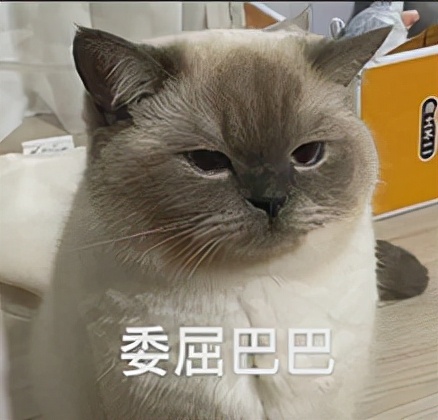 iphone11信号太差怎么解决,iphone11发烫严重卡顿怎么解决