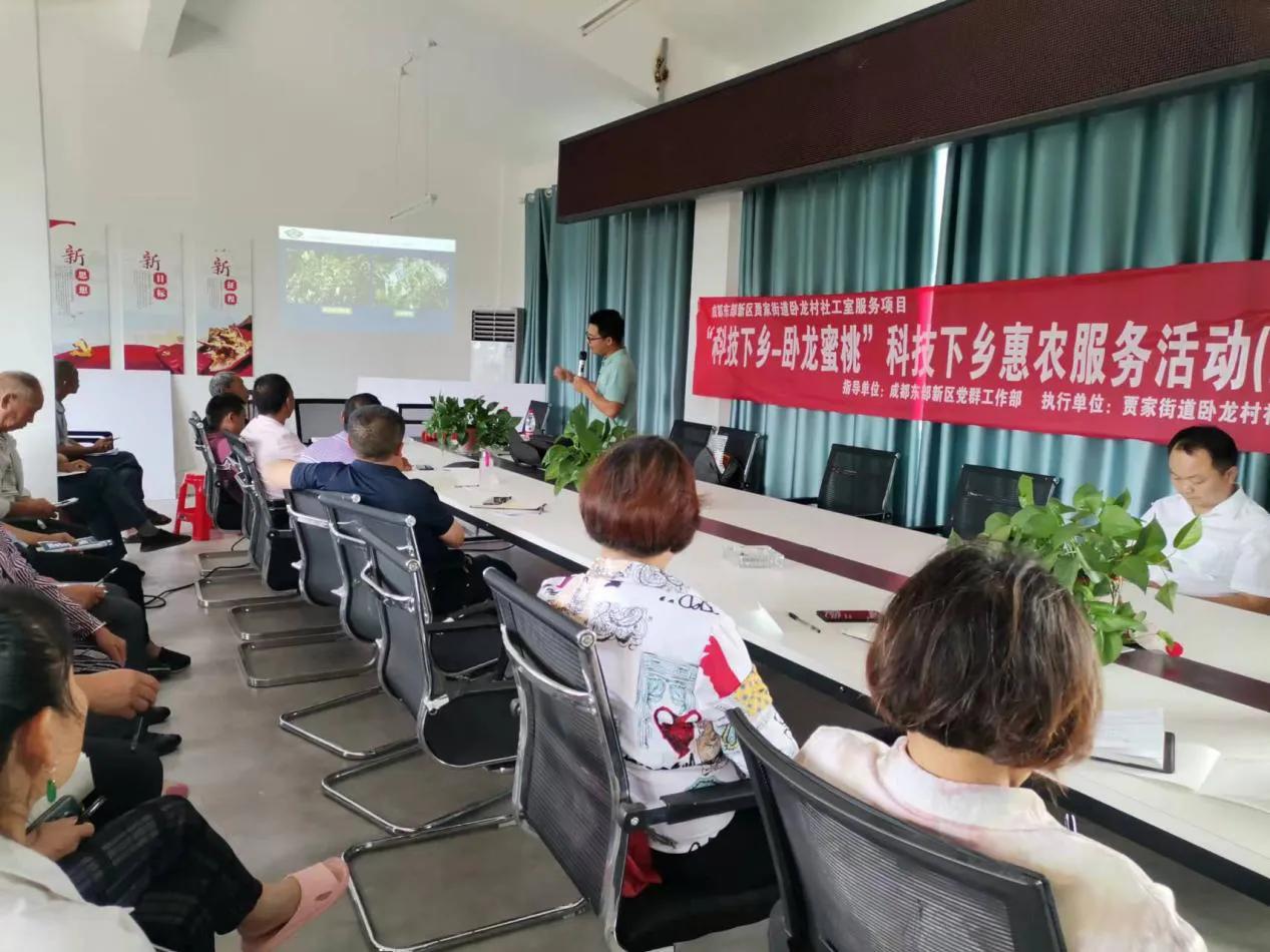 小蜜桃正山小种,小蜜桃郸城店